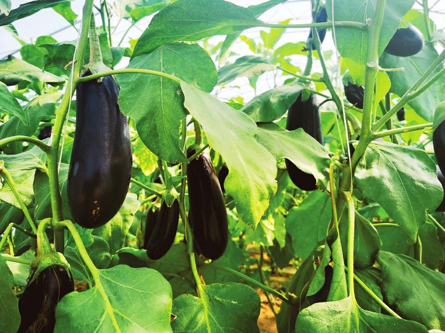 大同5.jpg 大同5.jpg